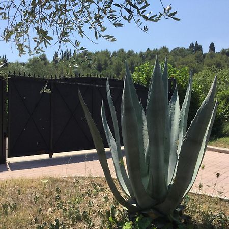 Villa Pax Maris Klek Kültér fotó