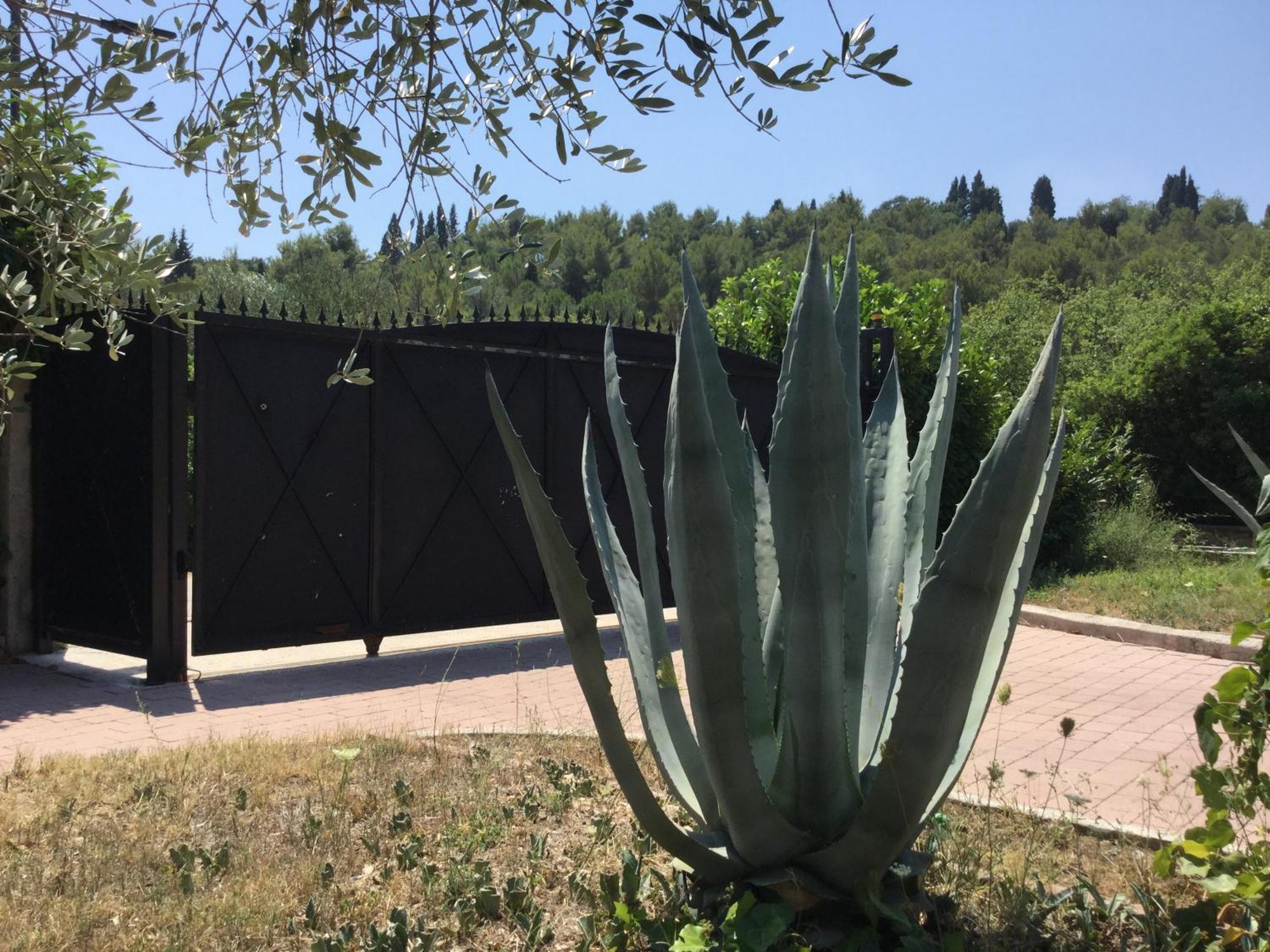 Villa Pax Maris Klek Kültér fotó